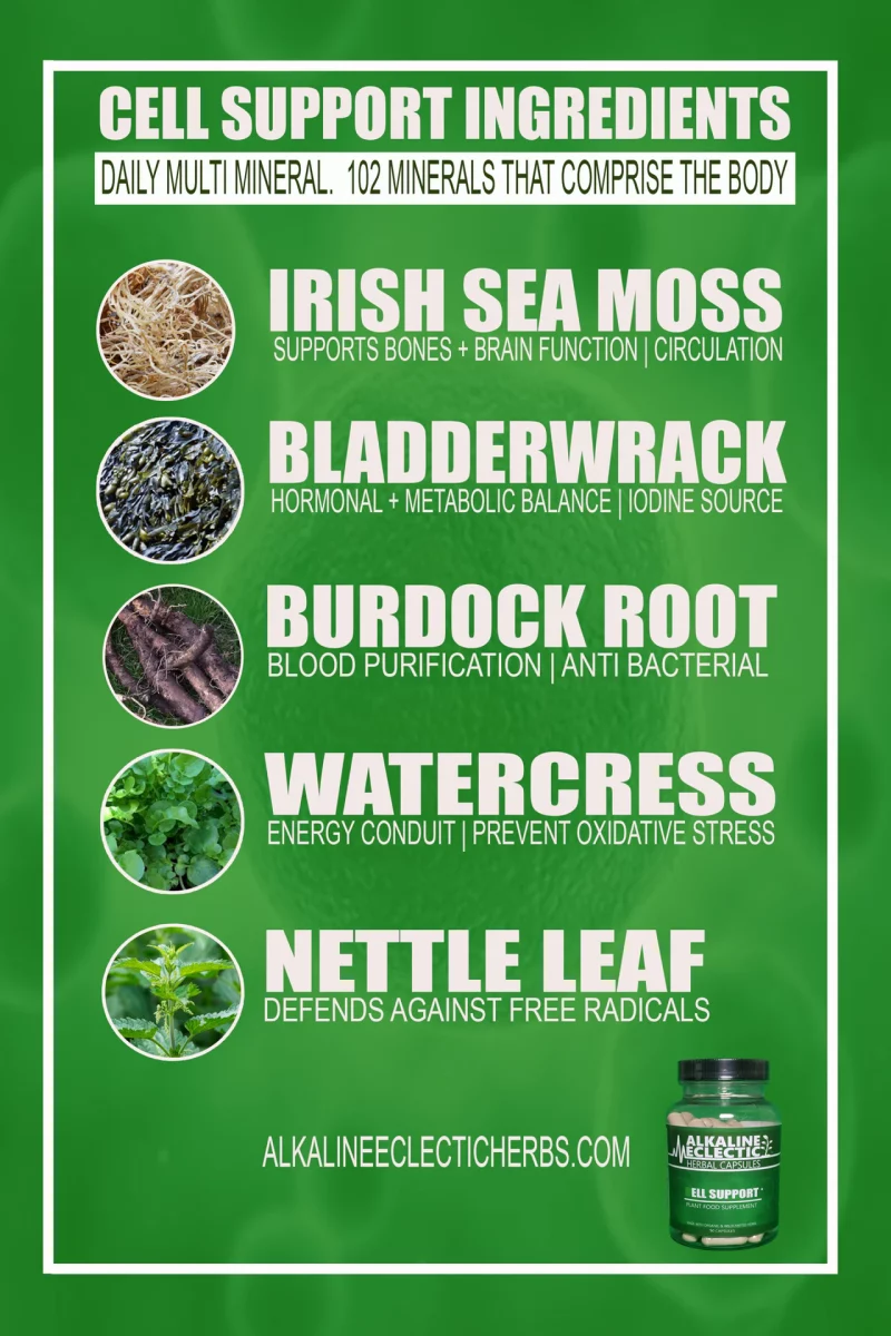 RISH SEA MOSS | CELL SUPPORT INGREDIENTS