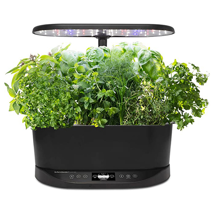 Hydroponic Garden