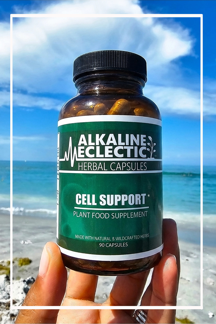 Celcil Support CELL SUPPORT | Cell Protector Capsules | Sea Moss and More